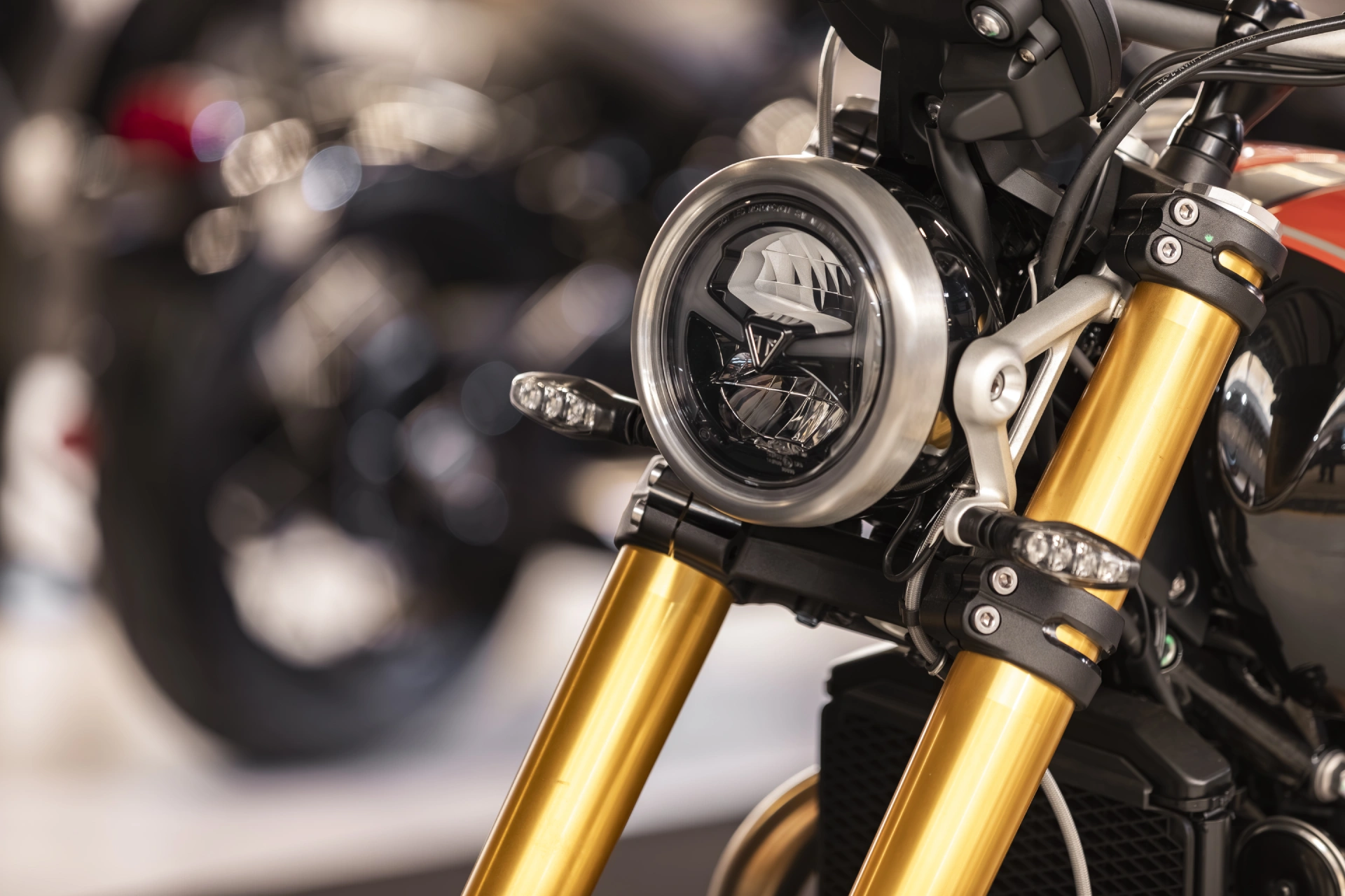 Triumph - Figura Moto