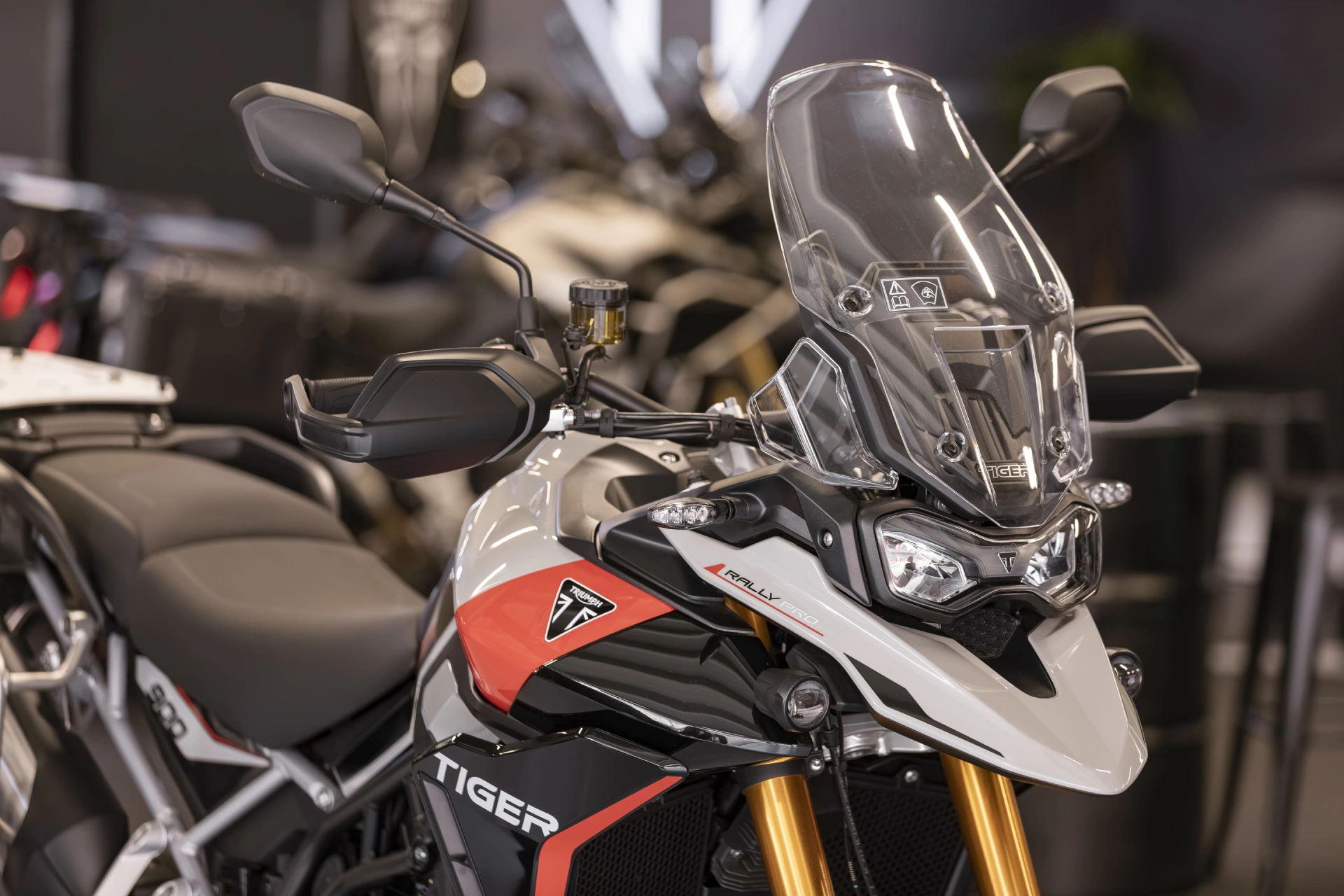 Triumph - Figura Moto